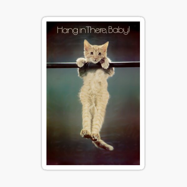 Hang in there Sticker