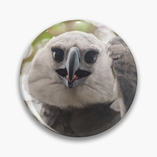Item preview, Harpy eagle designed and sold by Luis Sandoval.