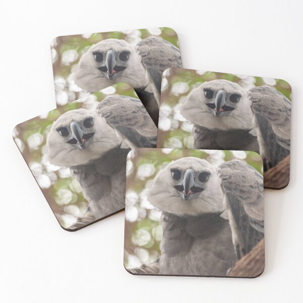 Item preview, Harpy eagle designed and sold by Luis Sandoval.