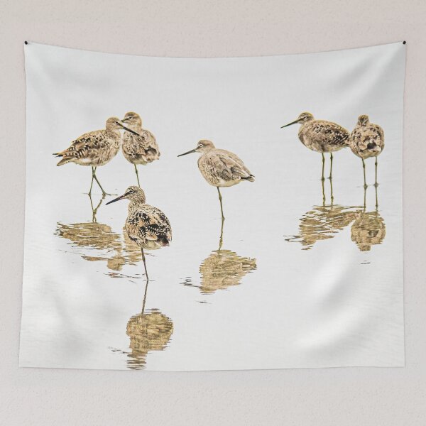 Item preview, Willets on the beach. designed and sold by oliviasphotos.