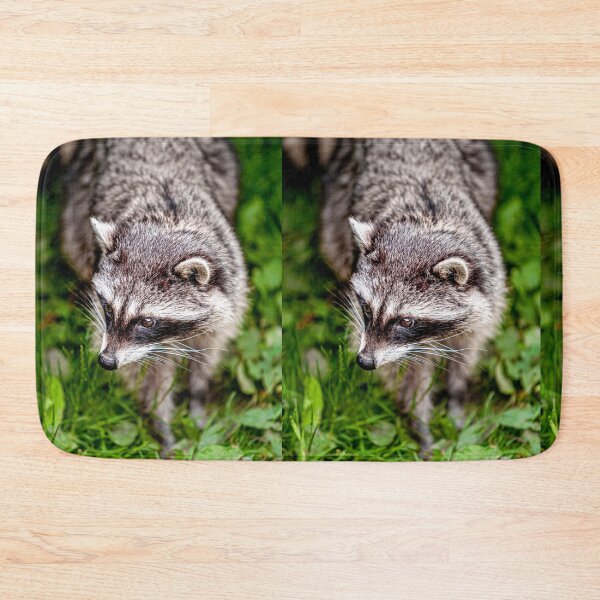 Item preview, Raccoon designed and sold by Dalyndigital Photography.