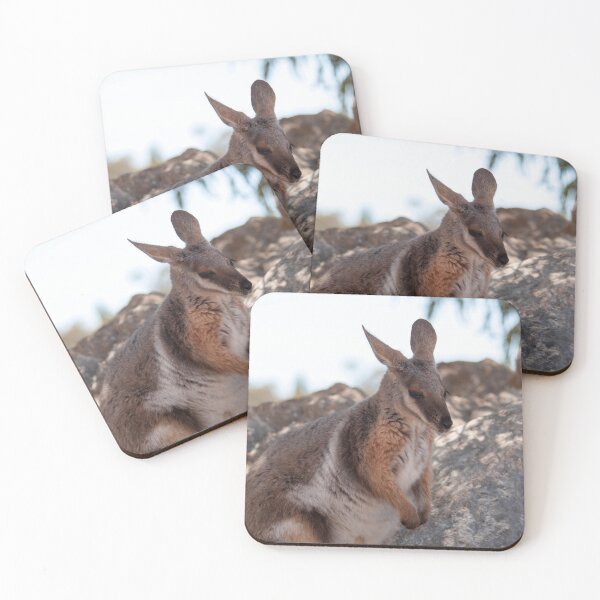 Item preview, Rock Wallaby Photography  designed and sold by NatashaBalletta.