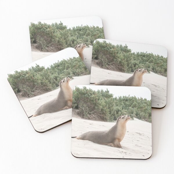 Item preview, Fotografía de lobos marinos australianos designed and sold by NatashaBalletta.