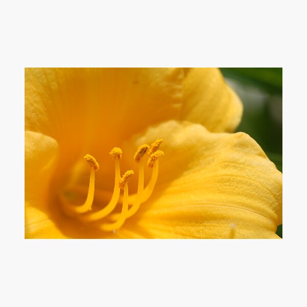 Item preview, yellow designed and sold by DougOlsen.