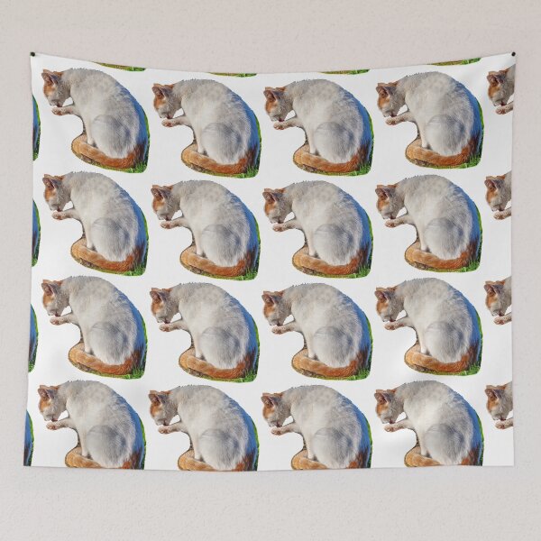Item preview, Wash and Brush up Cat designed and sold by Dalyndigital Photography.