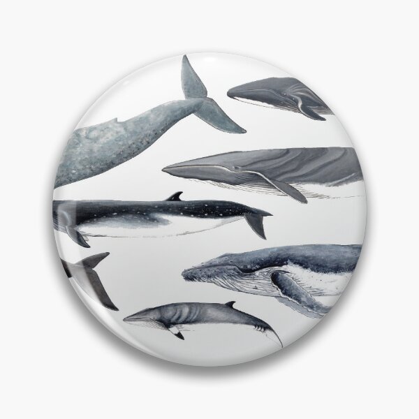 Item preview, Whales and right whale designed and sold by chloeyzoard.