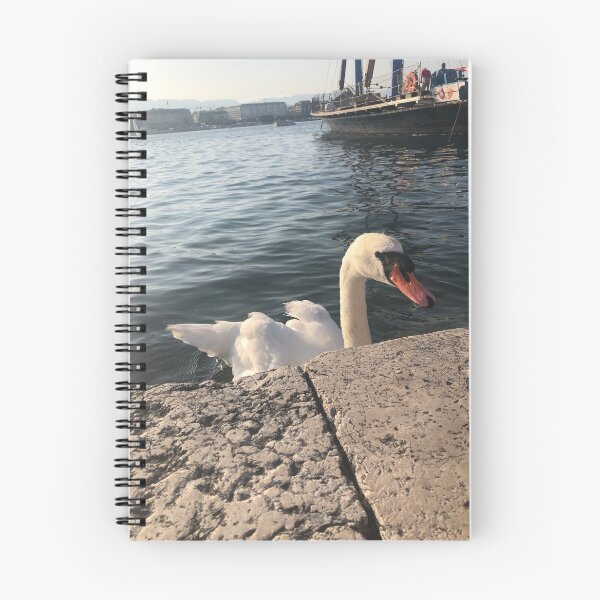 Item preview, A friendly swan  designed and sold by lydiaberger.
