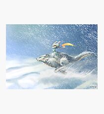 Twilight Princess Photographic Print