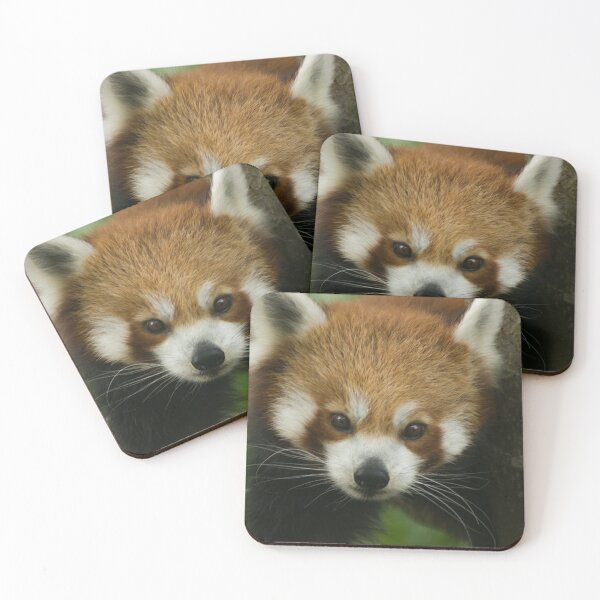 Item preview, Fur like Ember designed and sold by Hann Regan  Photography.