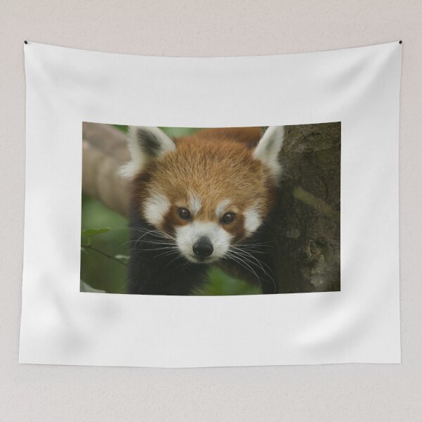 Item preview, Fur like Ember designed and sold by Hann Regan  Photography.