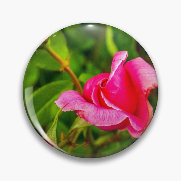 Item preview, A Rose By Any Other Name... designed and sold by Bryan Spellman.