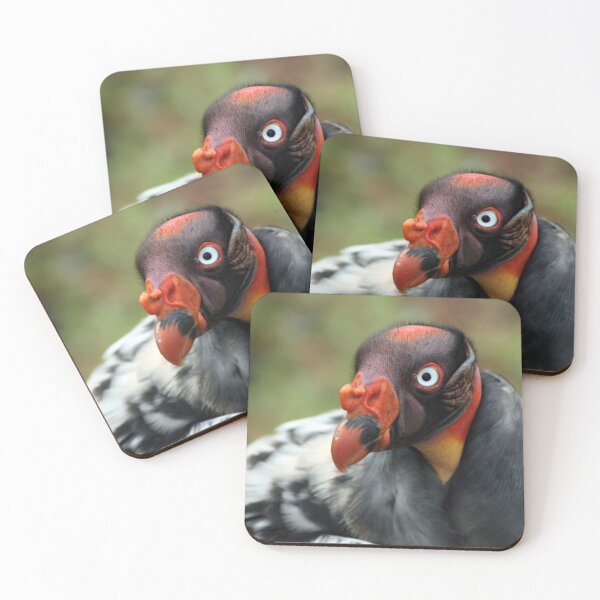 Item preview, King Vulture designed and sold by Hann Regan  Photography.