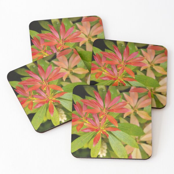 Item preview, Colourful Leaves designed and sold by ellenmpics.