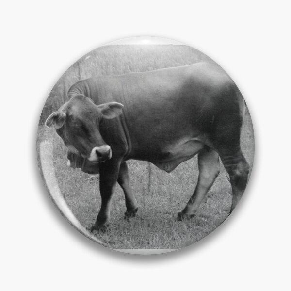 Item preview, COW designed and sold by David K Bruner.