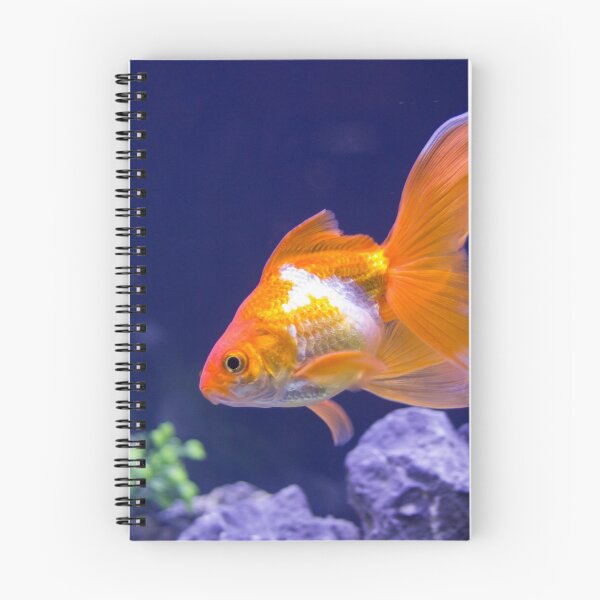 Item preview, Golden Scales designed and sold by Hann Regan  Photography.