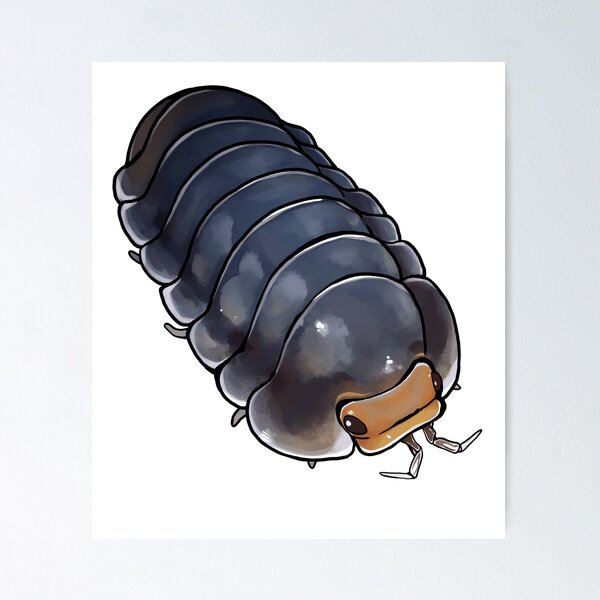 Item preview, Cubaris "Pak Chong" Isopod designed and sold by Morgan Carpenter.
