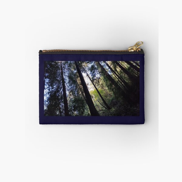 Aperçu de l'œuvre Lumière dans les arbres Muir Woods créée et vendue par GGPhotography.