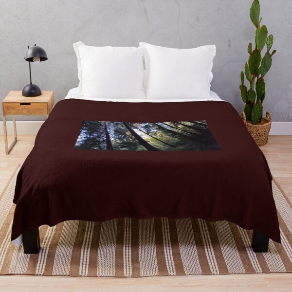 Item preview, Light In Trees Muir Woods designed and sold by GGPhotography.
