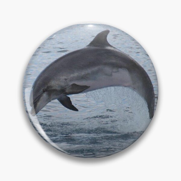 Item preview, Bottlenose dolphin designed and sold by chloeyzoard.