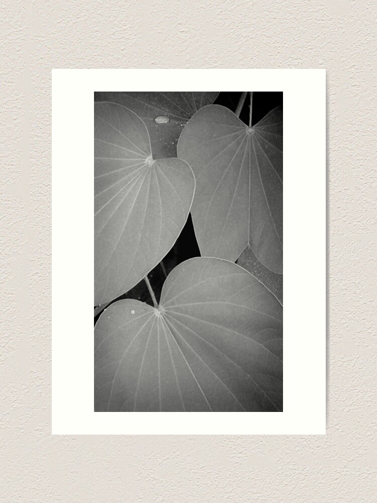 Alternate view of Dull day, after a shower Art Print