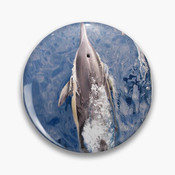 Item preview, Common dolphin bow riding designed and sold by chloeyzoard.