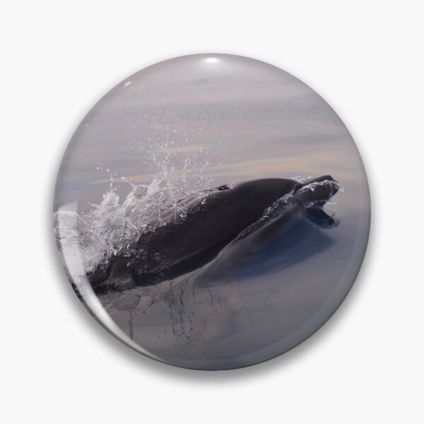 Item preview, Last dolphin last ray of light designed and sold by chloeyzoard.