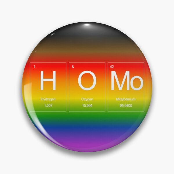 HOMo Rainbow Periodic Table Pin