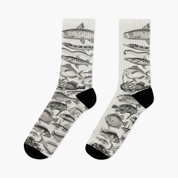 Item preview, Fish, ichthyology designed and sold by mcburns5.