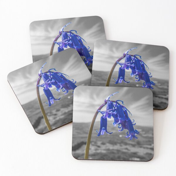 Item preview, Bluebell Colour pop designed and sold by DafyddEm.