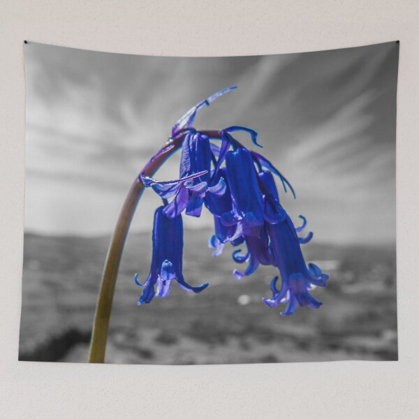 Item preview, Bluebell Colour pop designed and sold by DafyddEm.