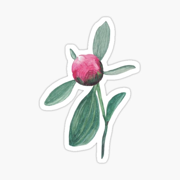 Peonia Stickers for Sale | Redbubble