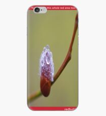 Weidekätzchen iPhone Case