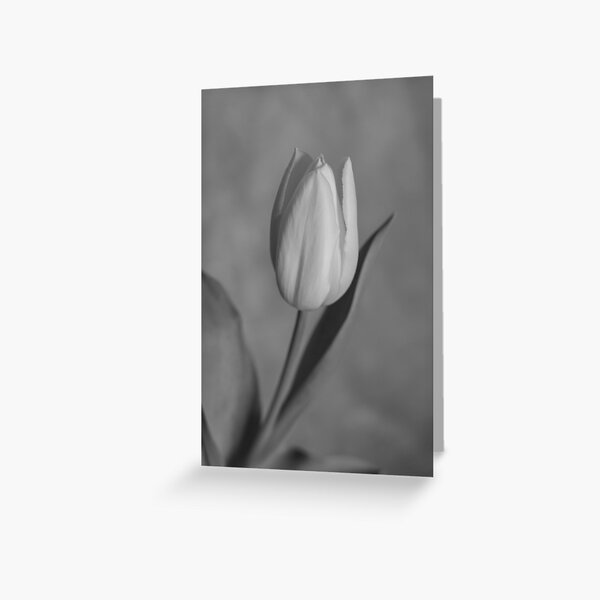 Item preview, Tulip (B/W) designed and sold by Crystal Vision Photo Art.