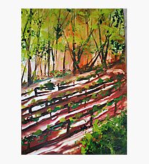 Vines - Encaustic Painting Photographic Print