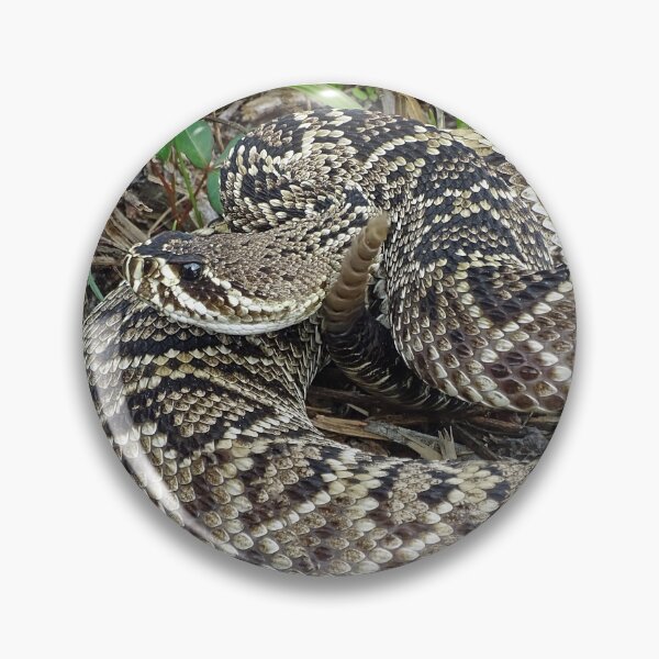 Item preview, Eastern Diamond Back Rattlesnake designed and sold by glink.