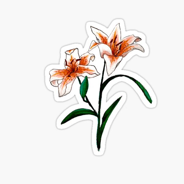 Item preview, Tiger Lilies designed and sold by Grace S..