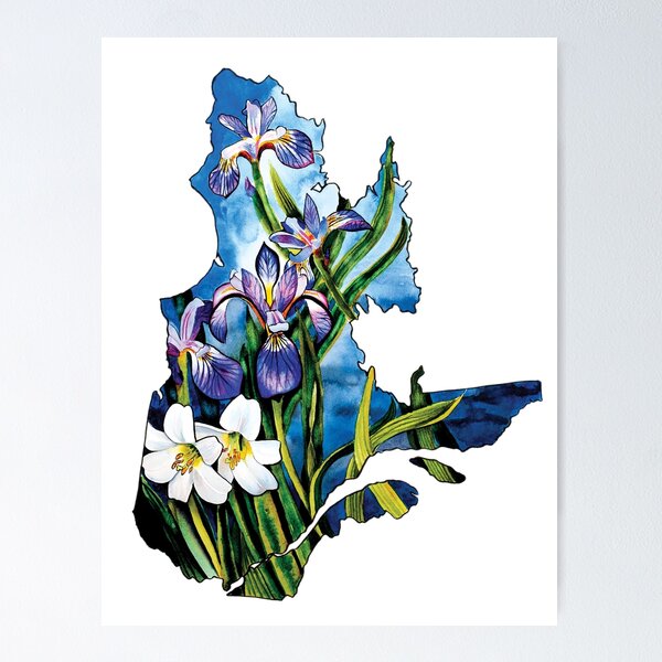 Item preview, Quebec designed and sold by Caitlyn Antaloczy.