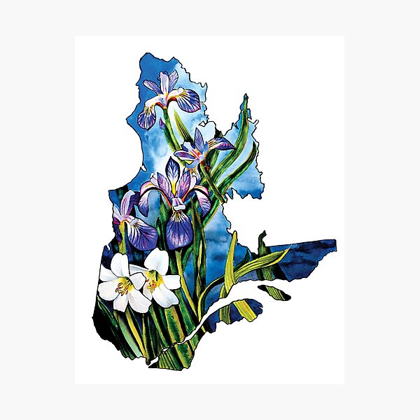 Item preview, Quebec designed and sold by Caitlyn Antaloczy.