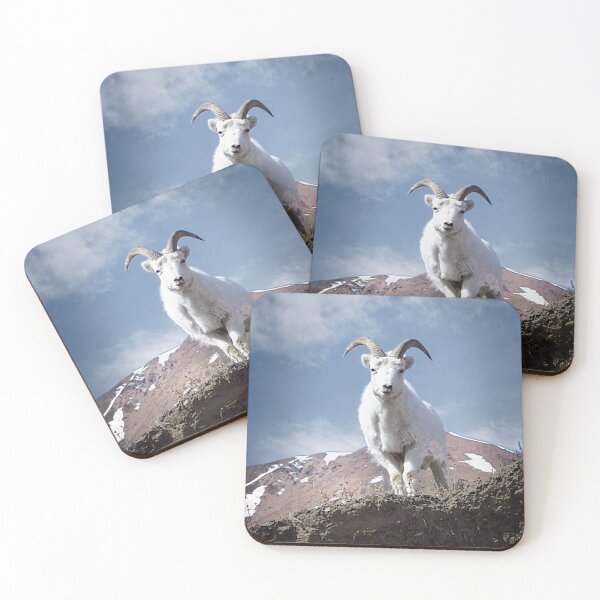 Item preview, Dall Sheep on Sheep Mountain designed and sold by Yukondick.