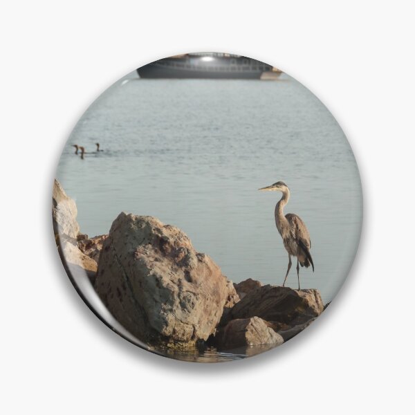 Item preview, The pirate's heron designed and sold by MELaBadie.