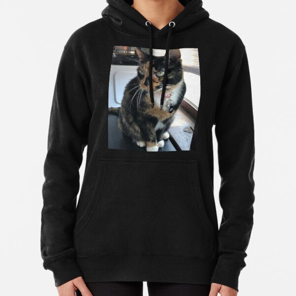 calico cat sweater