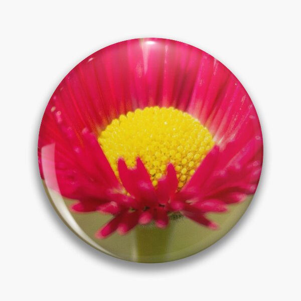 Item preview, Pink Bellis Flower designed and sold by ellenmpics.