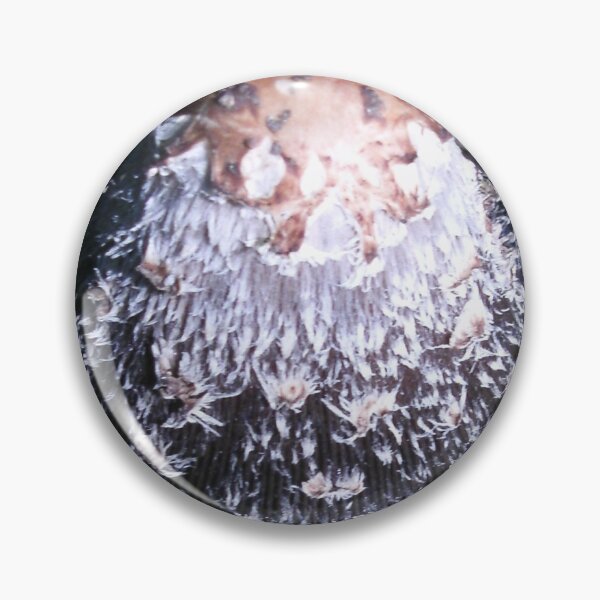Item preview, Forest Mushroom by Courtney Hatcher, Nature Photography designed and sold by cghatcherart.