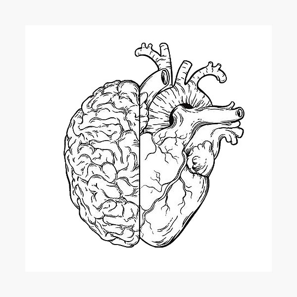 Aperçu de l'œuvre moitié cerveau moitié coeur créée et vendue par katiekaldrovics.