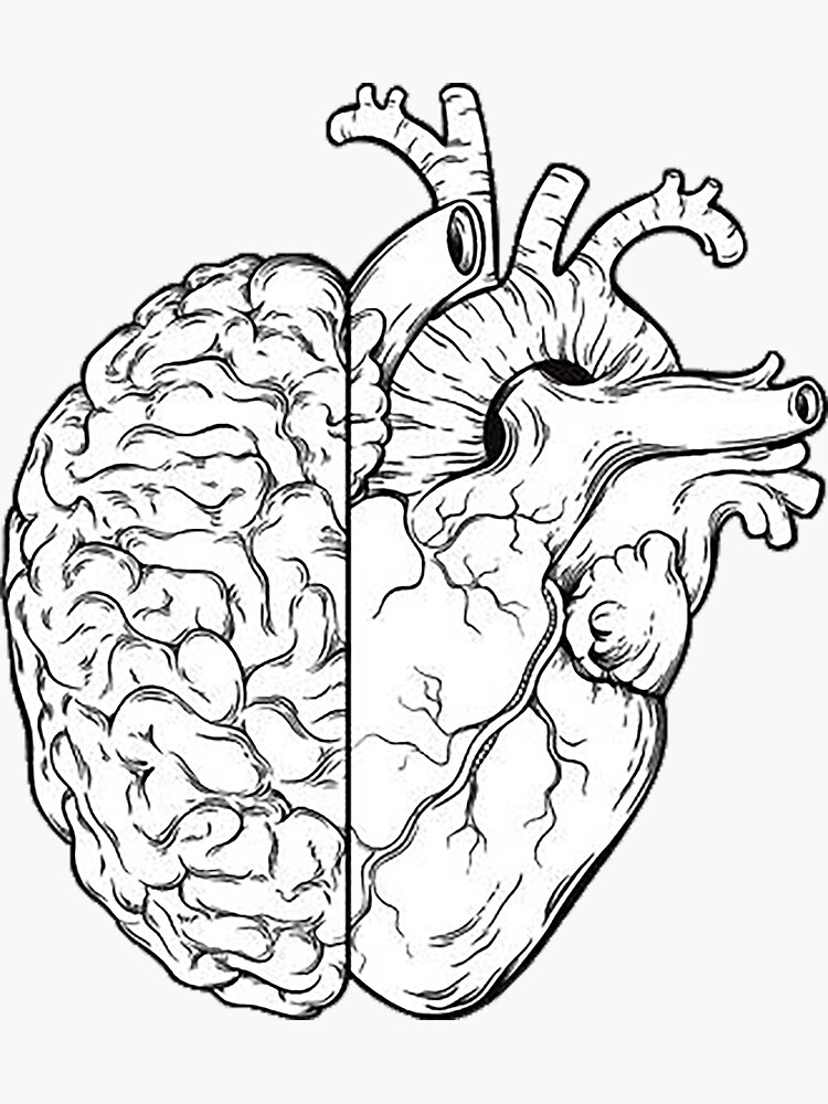 Heart and brain. Мозг рисунок. Мозг и сердце эскиз. Сердце рисунок анатомия.