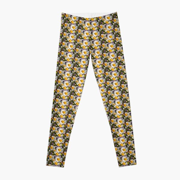 Fields of daisies Leggings