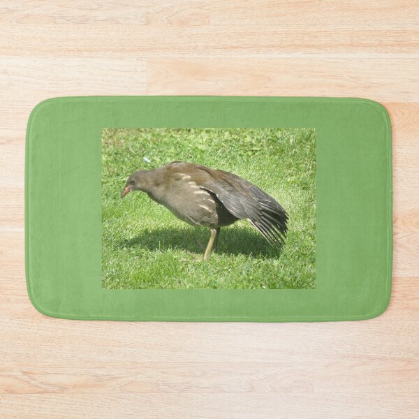 Item preview, Juvenile Moorhen Stretching its Wing Photograph designed and sold by naturegallery.