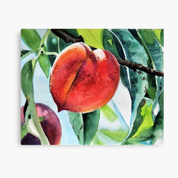Peach Tree Canvas Print