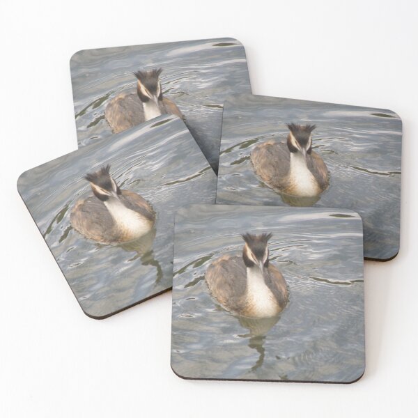 Item preview, Great Crested Grebe Photograph designed and sold by naturegallery.