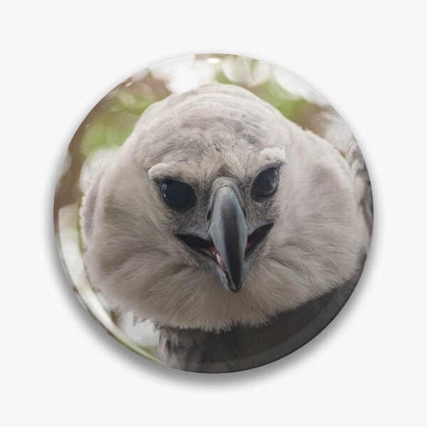 Item preview, Harpy eagle designed and sold by Luis Sandoval.